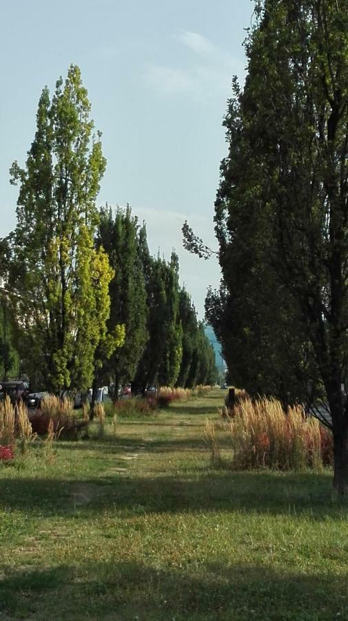 Apartament Krakowski Styl Bagian luar foto